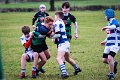 Monaghan U14s - U18s v Dungannon November 17th 2018 (56)